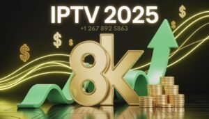 Iptv Business